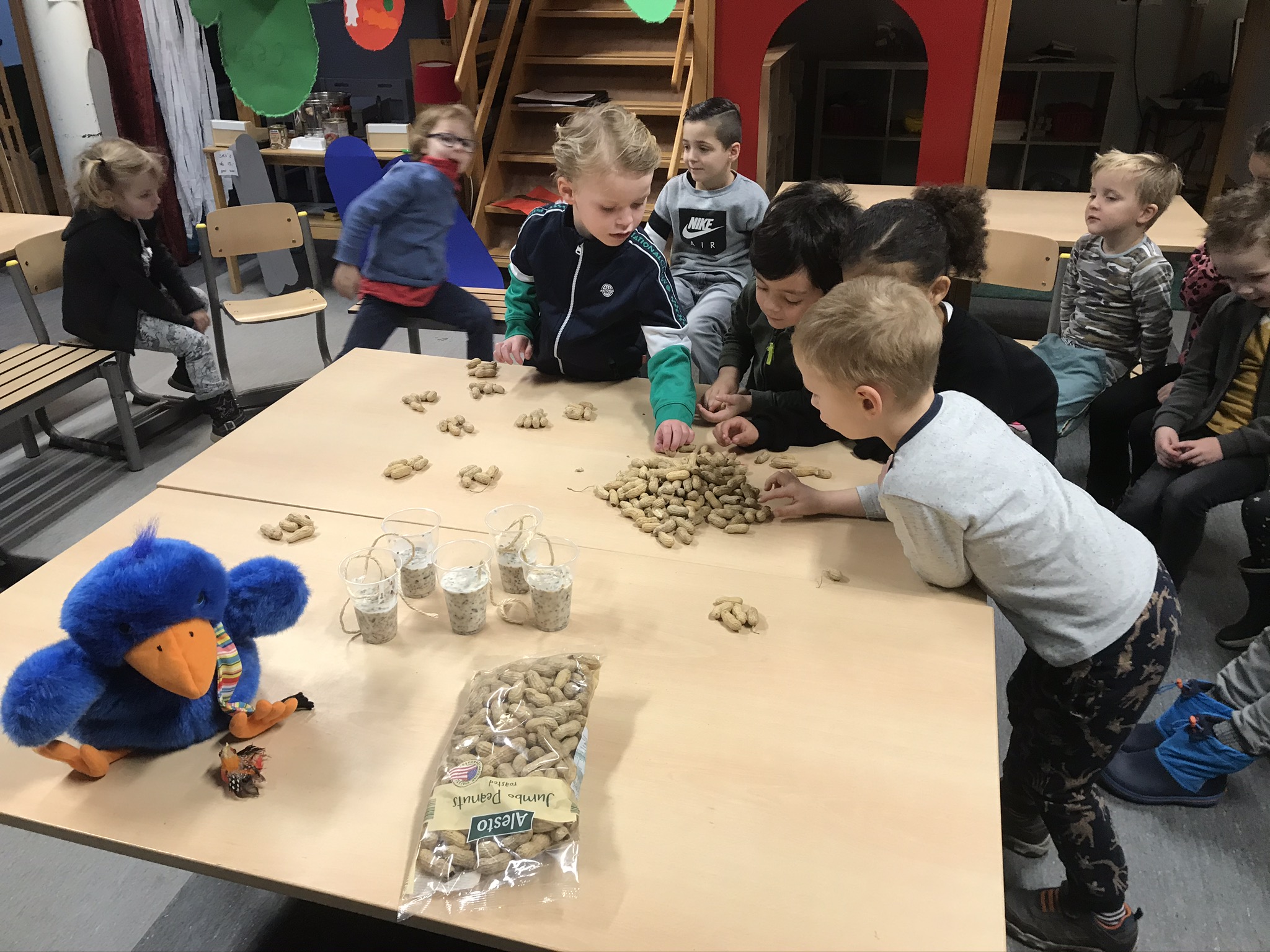 Raai de kraai en het zielige vogeltje...